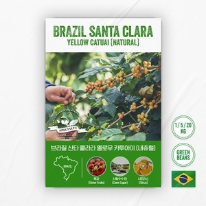 브라질 산타 클라라 옐로우 카투아이 NY2 (Natural)_1kg/5kg/20kg